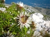 Chorwacja - Biokovo, fot. K. Meger Chorwacja - Biokovo, fot. K. Meger