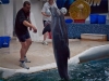 Delfinarium w Varnie - Bułgaria, fot. K. Meger Delfinarium w Varnie - Bułgaria, fot. K. Meger