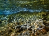 Adriatyk pod wodą / Korčula - Chorwacja, fot. M. Zapora