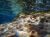Adriatyk pod wodą / Korčula - Chorwacja, fot. M. Zapora