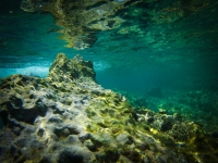 DCIM100GOPRO