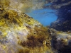 Czarnogóra - Adriatyk podwodą, fot. M. Zapora