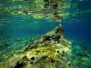 Czarnogóra - Adriatyk podwodą, fot. M. Zapora