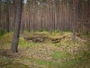 Brzeźnica Kolonia, fot. K. Meger Brzeźnica Kolonia, fot. K. Meger