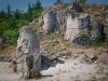 Bułgaria - Kamienny Las, fot. M. Zapora Bułgaria - Kamienny Las, fot. M. Zapora
