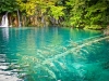 Plitvice - Chorwacja, fot. K. Meger Plitvice - Chorwacja, fot. K. Meger