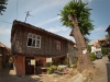 Bułgaria - Sozopol, fot. K. Meger Bułgaria - Sozopol, fot. K. Meger