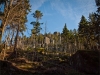 Góry Stołowe - Szczeliniec, fot. K. Meger Góry Stołowe - Szczeliniec, fot. K. Meger