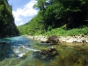 Czarnogóra - Rzeka Tara, fot. M. Zapora