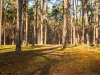 Złoty Potok - Polska, fot. K. Meger